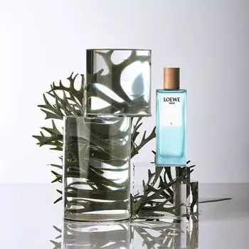 Туалетная вода унисекс Agua l EDT Loewe, 100