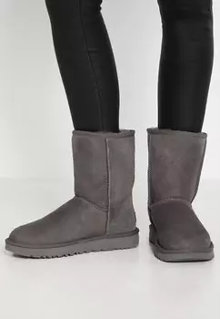 Угги женские UGG, серый