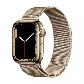 Умные часы Apple Watch Series 7 Stainless Steel (GPS+Cellular), 41 mm, Gold