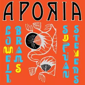 Виниловая пластинка Stevens Sufjan - Aporia