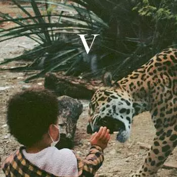 Виниловая пластинка Unknown Mortal Orchestra - Unknown Mortal Orchestra V
