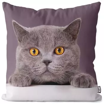 VOID Cat Британская короткошерстная наволочка из полиэстера Водонепроницаемая подушка для улицы и дома Размер: 40 x 40 см