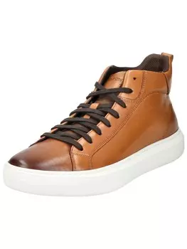Высокие кеды GEOX High-Top Sneakers Deiven, коричневый