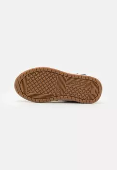 Высокие кеды PERTH BOY Geox, синий