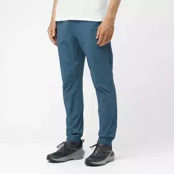 Wayfarer Ease Salomon мужские брюки, синий