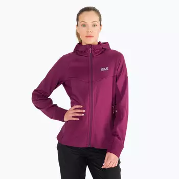 Женская толстовка Jack Wolfskin, цвет red/rosa burdeos/rosa burdeos