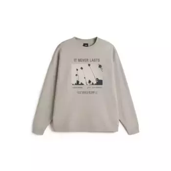 Женская толстовка Vans Neverlasting Crew, бежевый