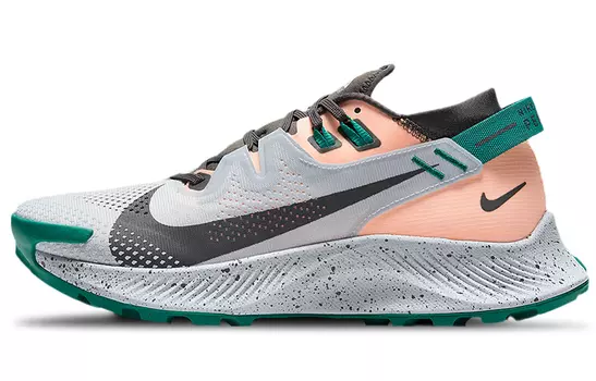 Женские беговые кроссовки Nike Pegasus Trail 2