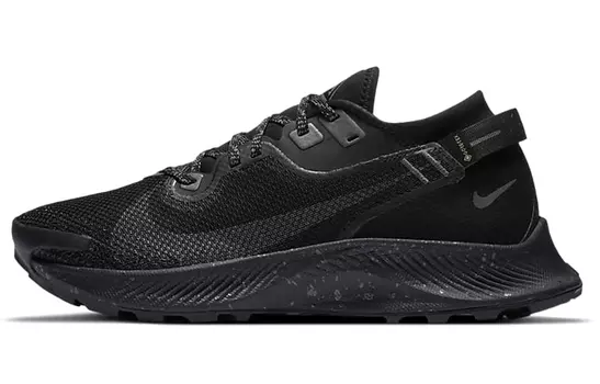 Женские беговые кроссовки Nike Pegasus Trail 2