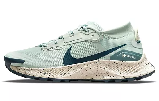 Женские беговые кроссовки Nike Pegasus Trail 3