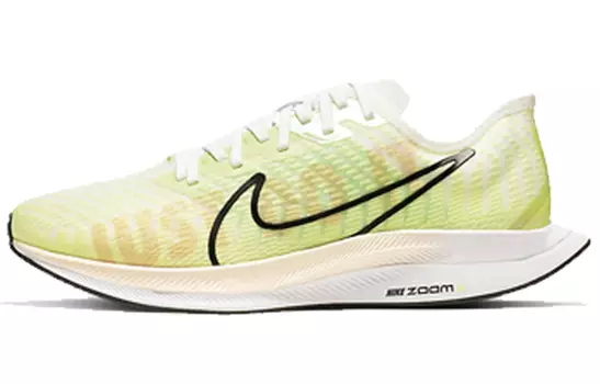 Женские беговые кроссовки Nike Pegasus Turbo 2