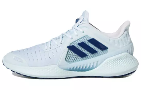 Женские кроссовки Adidas Climacool 2.0