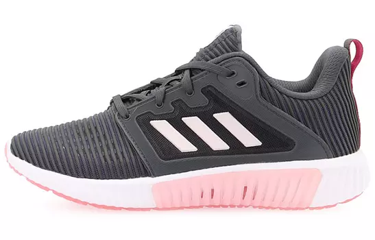 Женские кроссовки Adidas Climacool 2.0