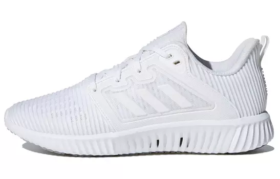 Женские кроссовки Adidas Climacool 2.0