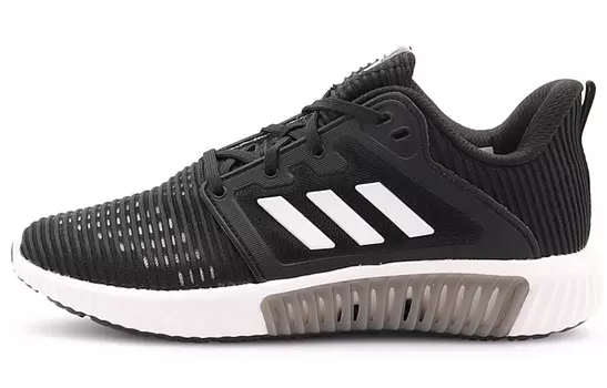Женские кроссовки Adidas Climacool 2.0