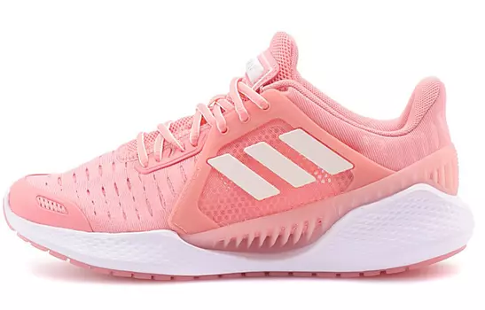 Женские кроссовки Adidas Climacool 2.0