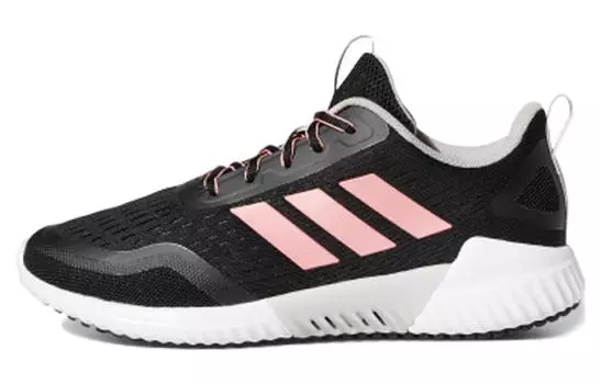 Женские кроссовки Adidas Climacool 2.0