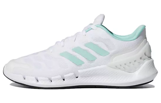 Женские кроссовки Adidas Climacool Ventania
