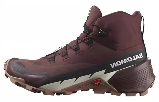 Женские кроссовки Cross Hike 2 Mid GORE-TEX 'Bitter Chocolate Mocha Mousse' Salomon