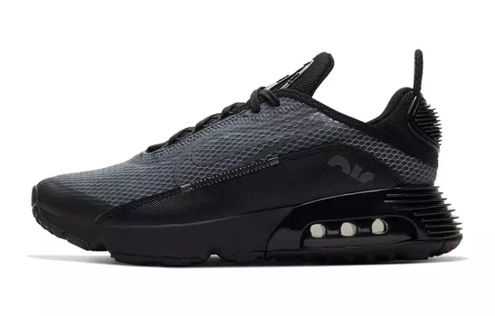 Женские кроссовки Nike Air Max 2090