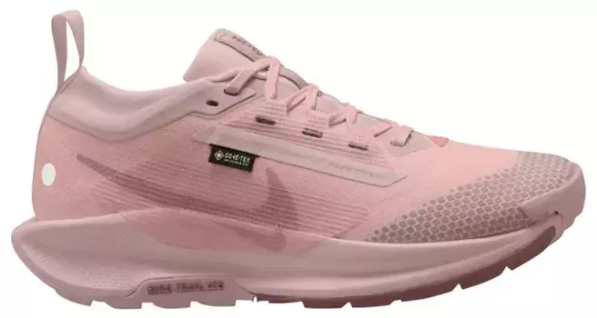 Женские кроссовки Nike Pegasus Trail 5 GORE-TEX, цвет Pink Oxford/Red Star/Rose