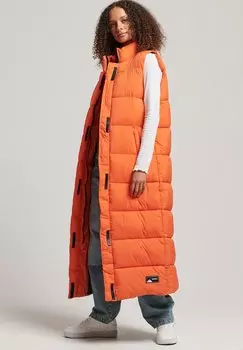 Жилет Superdry