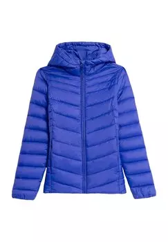 Зимняя куртка 4F, цвет blue