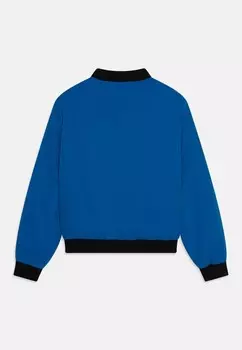 Зимняя куртка JJGREAT Jack & Jones, синий