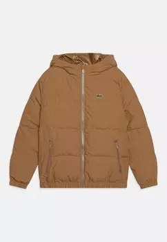 Зимняя куртка Lacoste, цвет cookie
