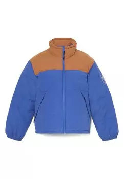 Зимняя куртка MT WELCH Timberland, синий