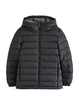 Зимняя куртка Next Winter Jacket, черный