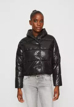 Зимняя куртка Pepe Jeans, черный