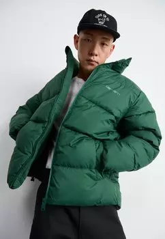 Зимняя куртка SPRINGFIELD JACKET Carhartt WIP, темно-зеленый