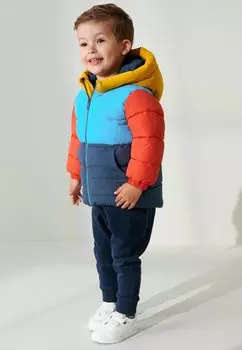 Зимняя куртка STANDARD Next, цвет blue colourblock