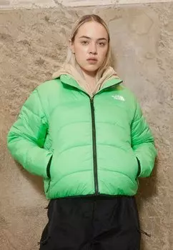 Зимняя куртка The North Face