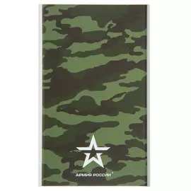 АКБ портативный 4000mAh серебристый Red Line J01 Армия России