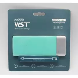 АКБ портативный 6000mAh/2.1А мятный WST DP662