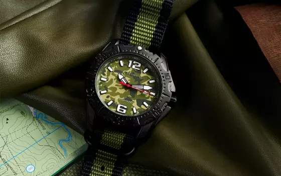 Хамелеон Green