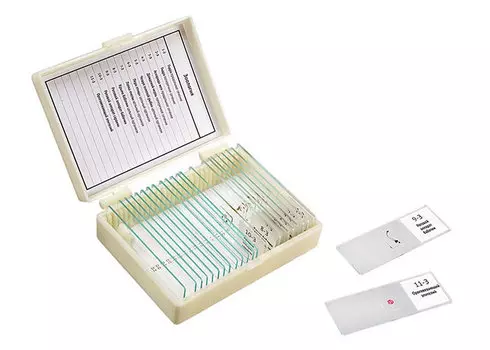 Набор микропрепаратов Микромед «Зоология», 11 образцов