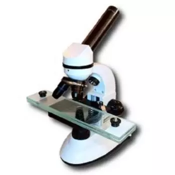 Трихинеллоскоп Биомед 2К