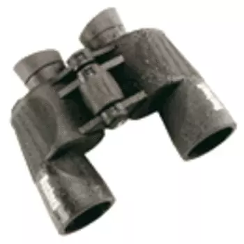 Водонепроницаемый бинокль Bushnell H2O 10х42 13-2410