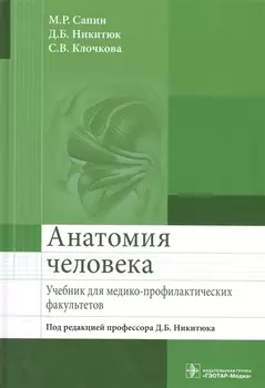 Анатомия человека.