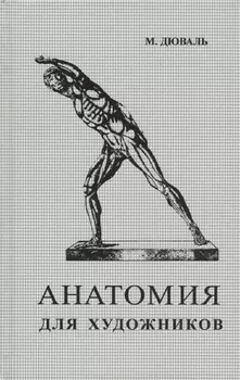 Анатомия для художников