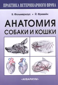 Анатомия собаки и кошки