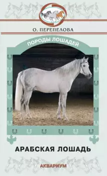 Арабская лошадь