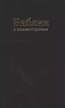 Библия Книги Священного Писания Ветхого и Нового Завета Канонические В Синодальном переводе с комментариями и приложениями