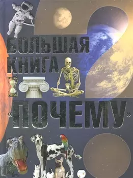Большая книга Почему