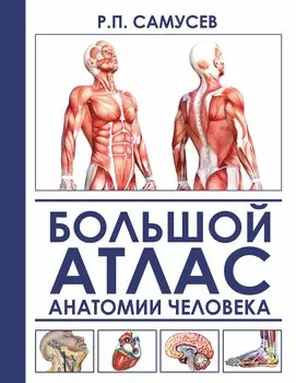 Большой атлас анатомии человека
