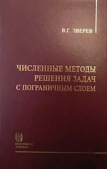 Численные методы решения задач с пограничным слоем