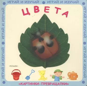 Цвета